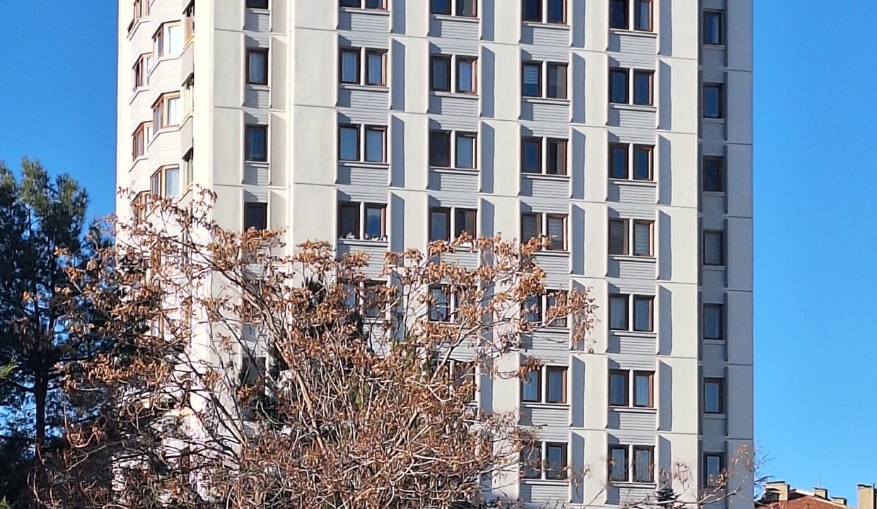 20250206_092348